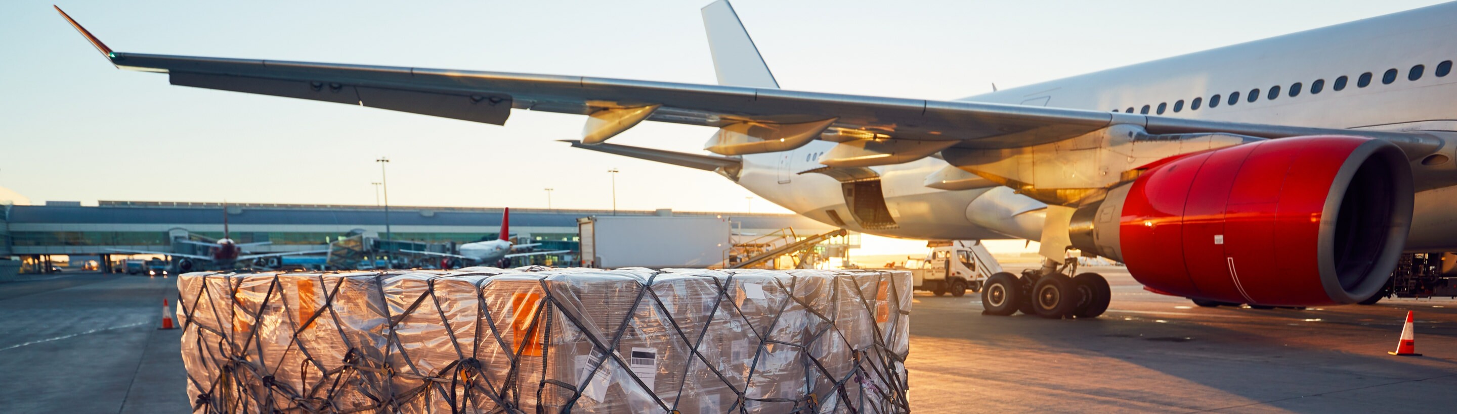 9 Tips to Cut Shipping Costs & Boost Profits