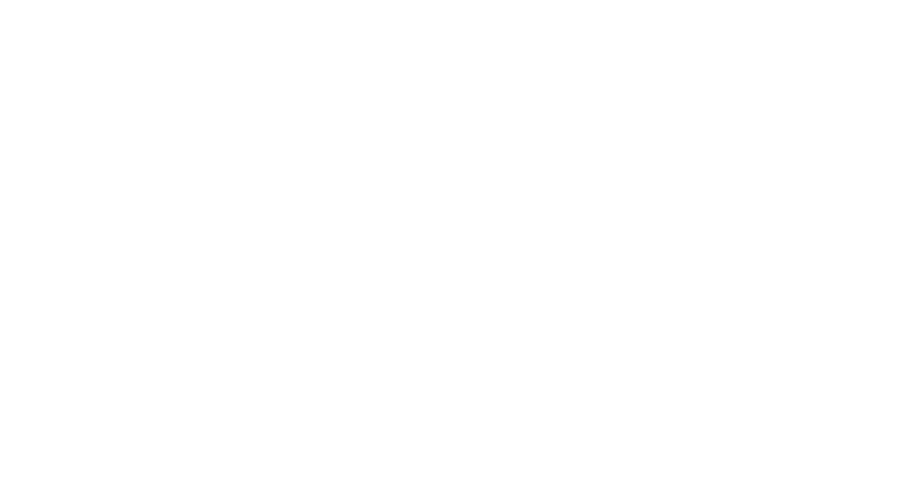 Fi  logo